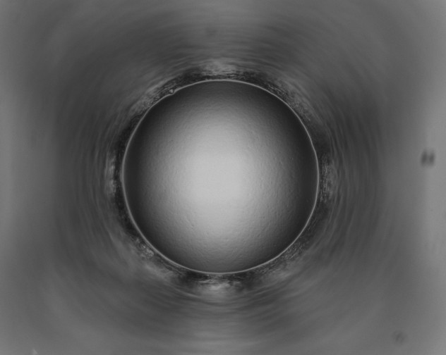 X0000090610267200707311228