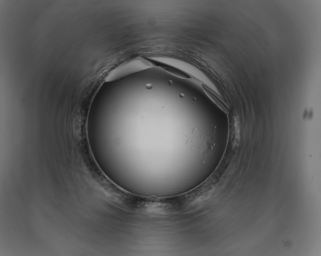 X0000090610268200707311228