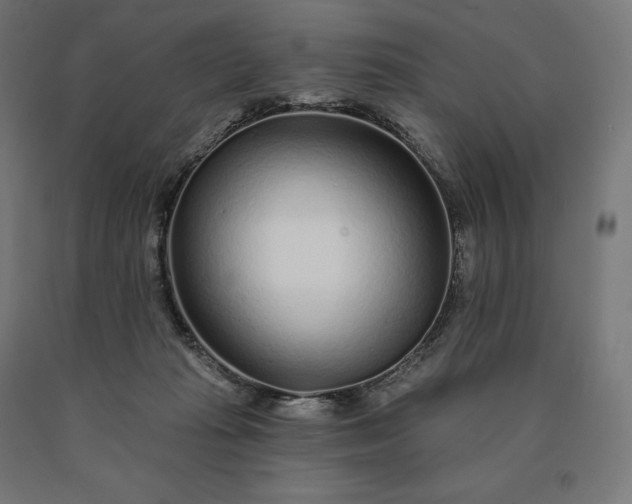 X0000090610269200707311228