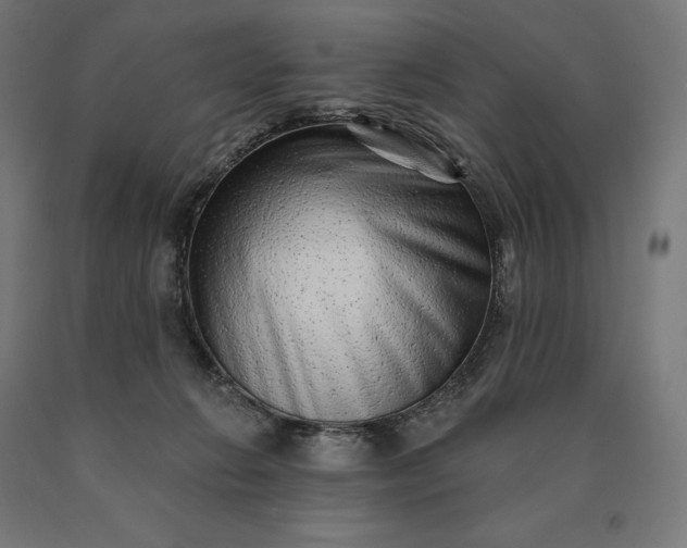 X0000090610270200707311228