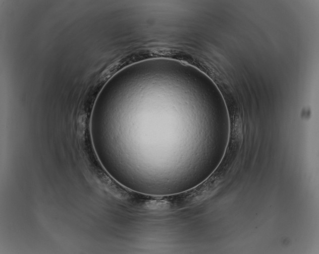 X0000090610271200707311229