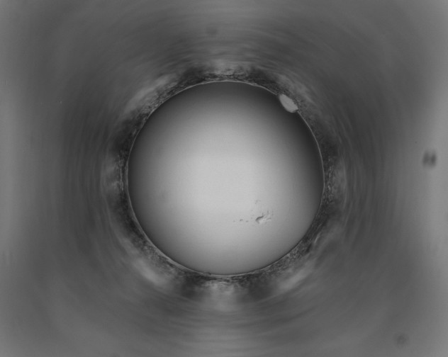 X0000090610272200707311229