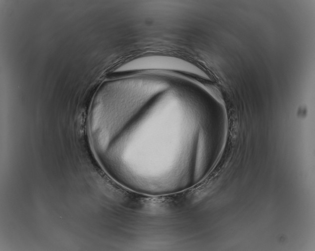 X0000090610273200707311229