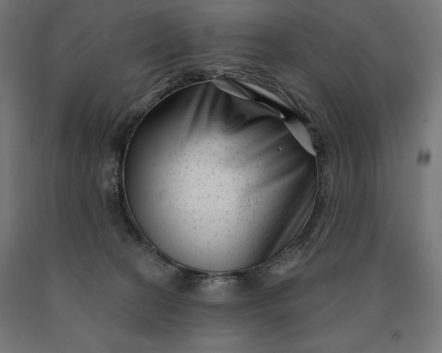 X0000090610274200707311229