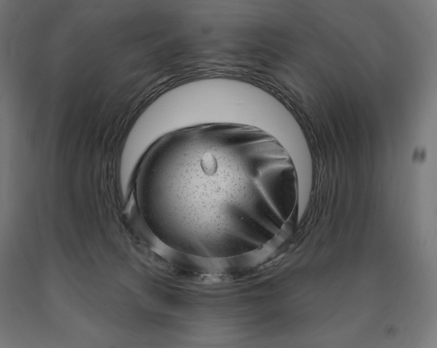 X0000090610275200707311229