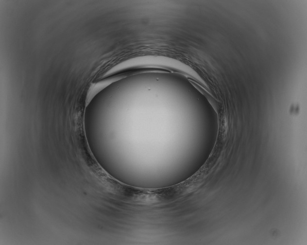 X0000090610276200707311229