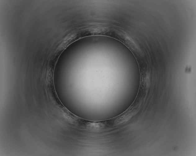 X0000090610277200707311229