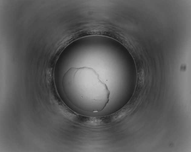 X0000090610278200707311229