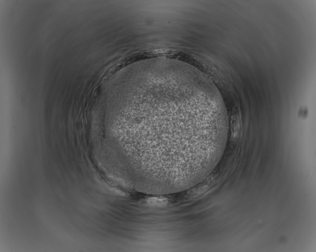 X0000090610279200707311229