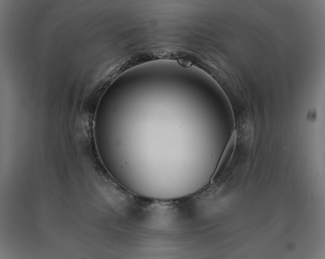 X0000090610280200707311229