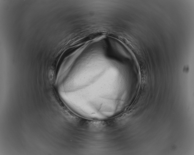 X0000090610281200707311229