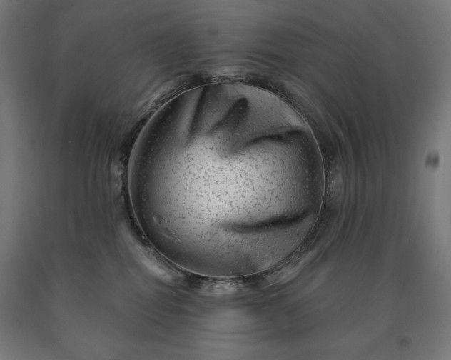 X0000090610282200707311229