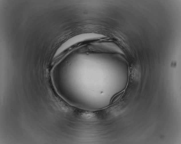 X0000090610283200707311229