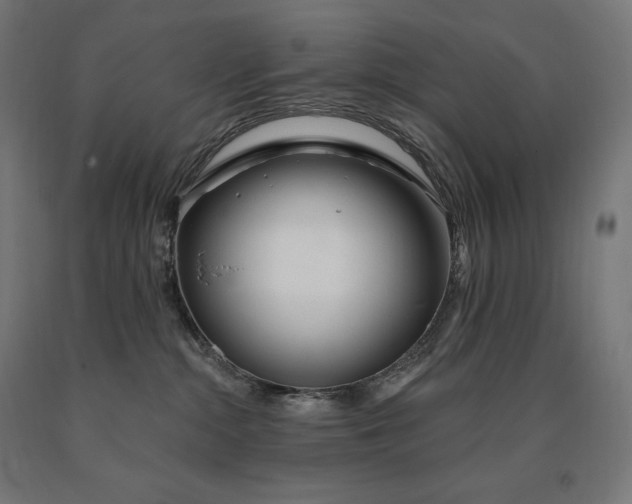 X0000090610284200707311229