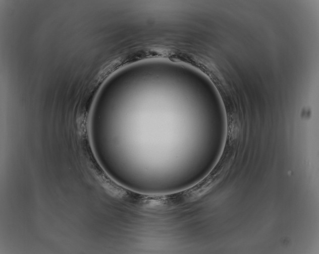 X0000090610285200707311229