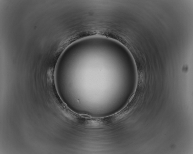 X0000090610286200707311229