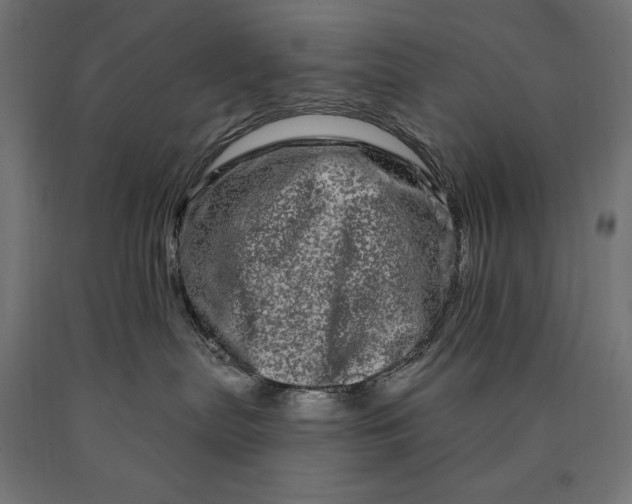 X0000090610287200707311229