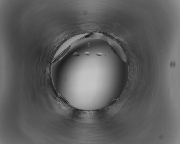 X0000090610288200707311229