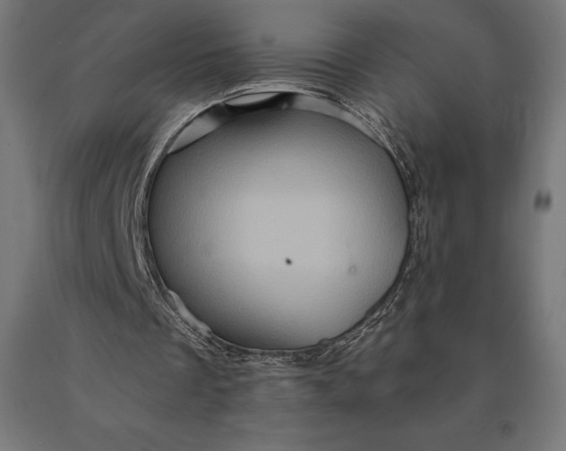 X0000090610289200707311228