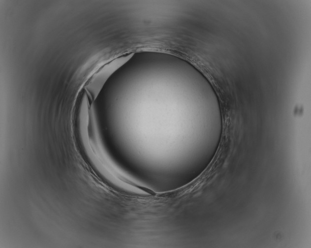 X0000090610290200707311228