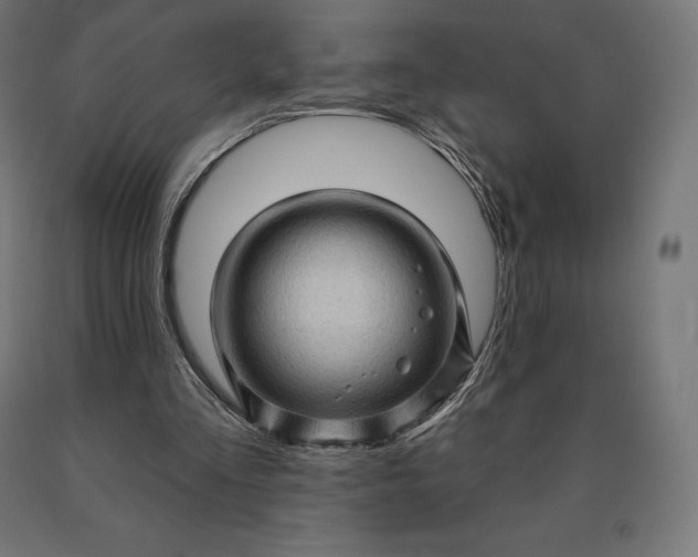 X0000090610293200707311228