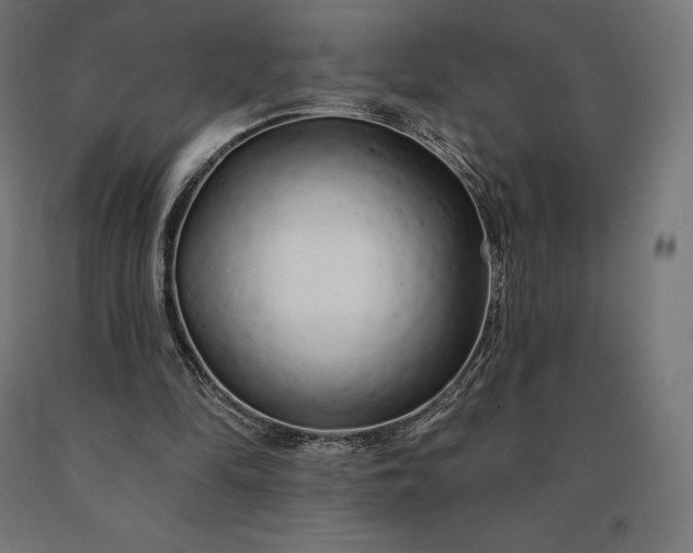 X0000090610294200707311228