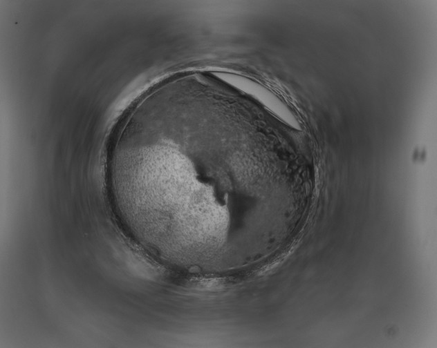 X0000090610295200707311228