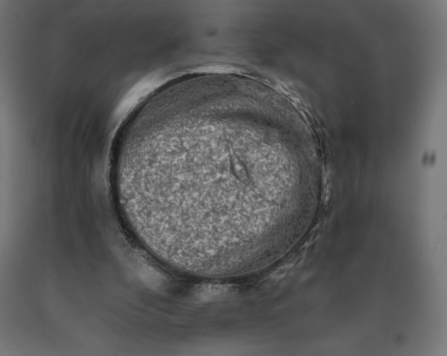 X0000090610296200707311228