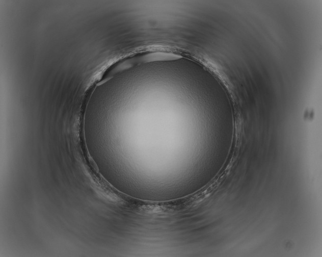 X0000090610297200707311228