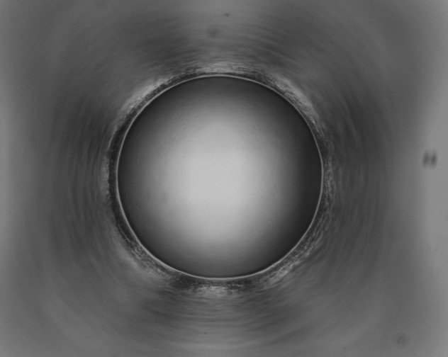 X0000090610298200707311228