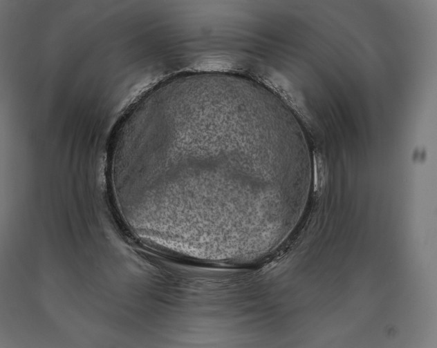 X0000090610300200707311228