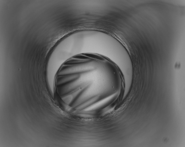 X0000090610301200707311228