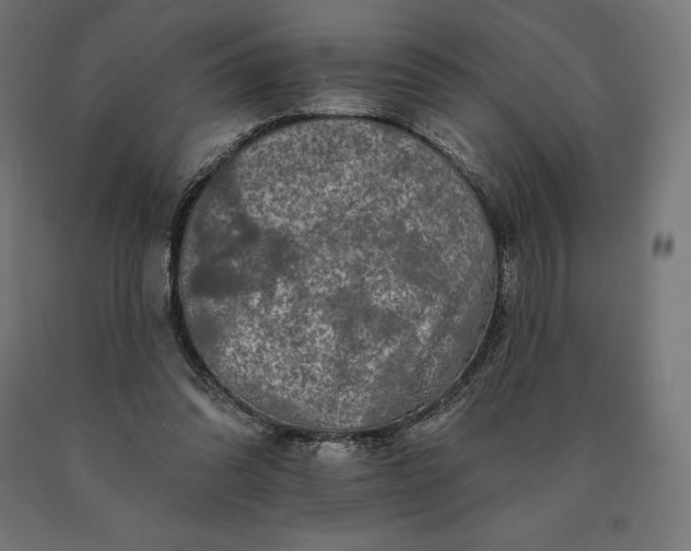 X0000090610302200707311228