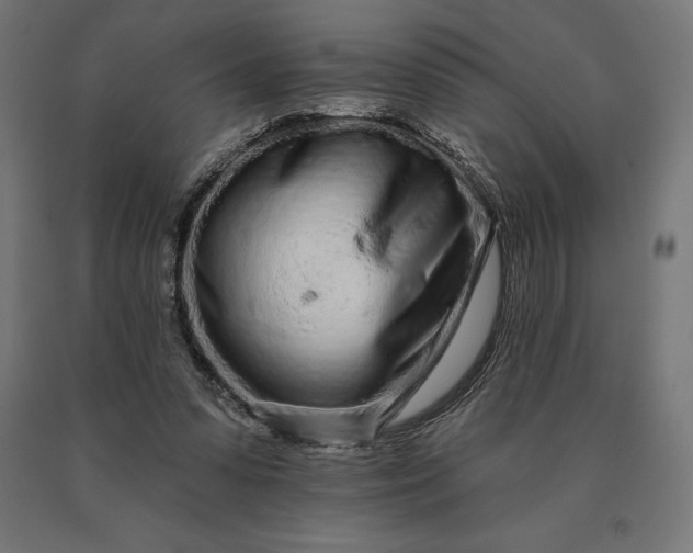 X0000090610303200707311228