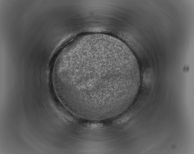 X0000090610304200707311228