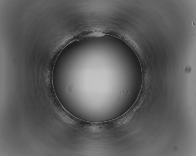 X0000090610305200707311228