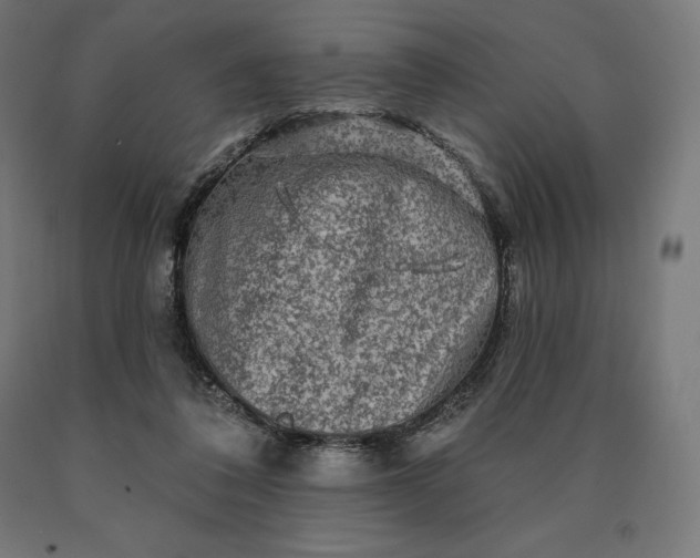 X0000090610308200707311228