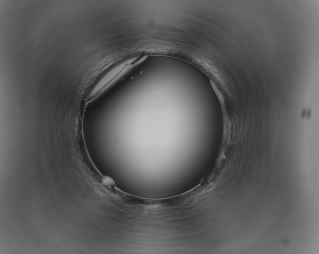 X0000090610309200707311228