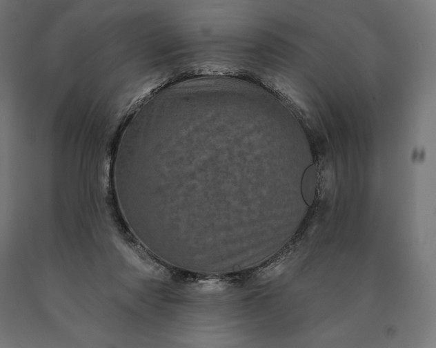 X0000090610310200707311228