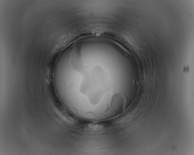 X0000090610311200707311228