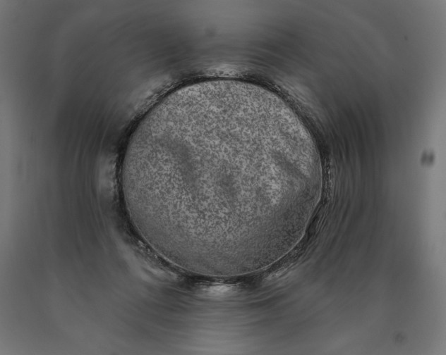 X0000090610312200707311228