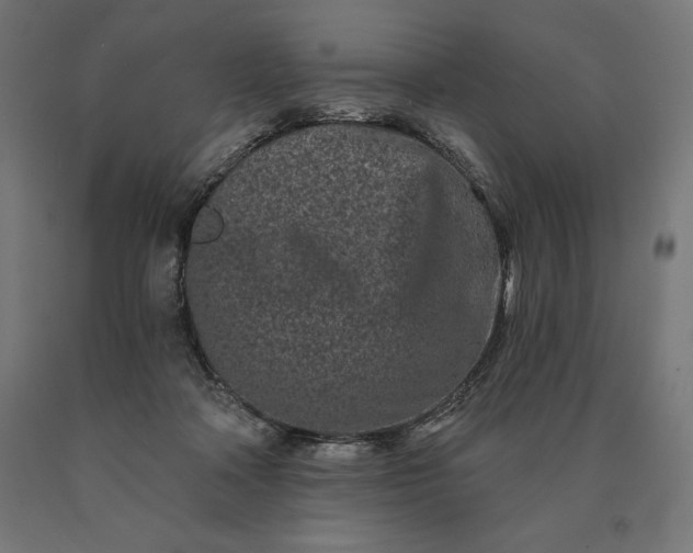 X0000090610314200707311228