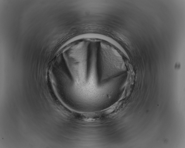 X0000090610315200707311228