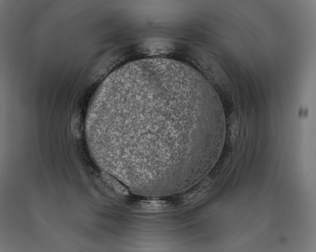 X0000090610316200707311228