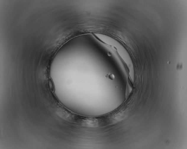 X0000090610317200707311228