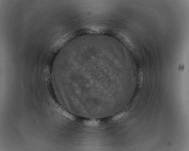 X0000090610318200707311227