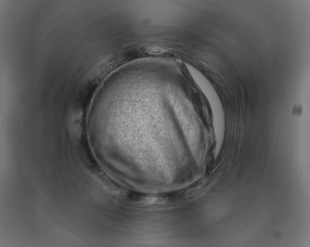 X0000090610319200707311227