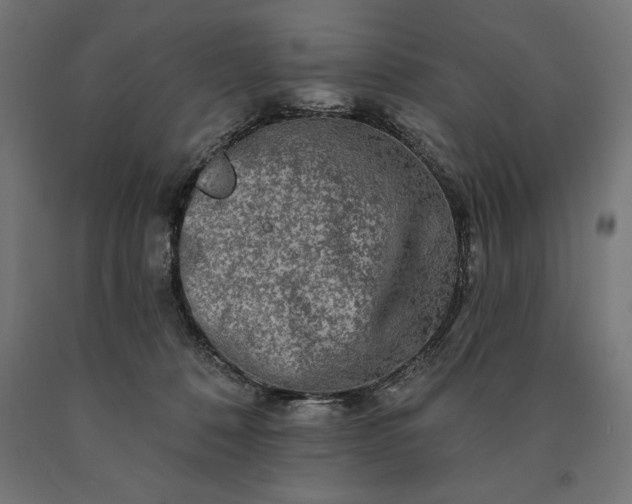 X0000090610320200707311227