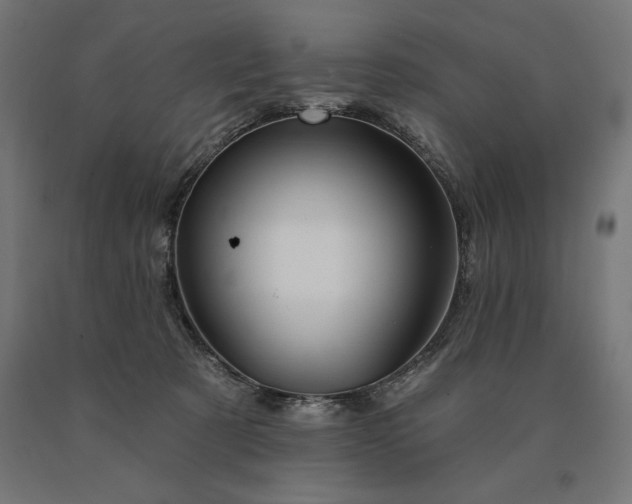 X0000090610321200707311227