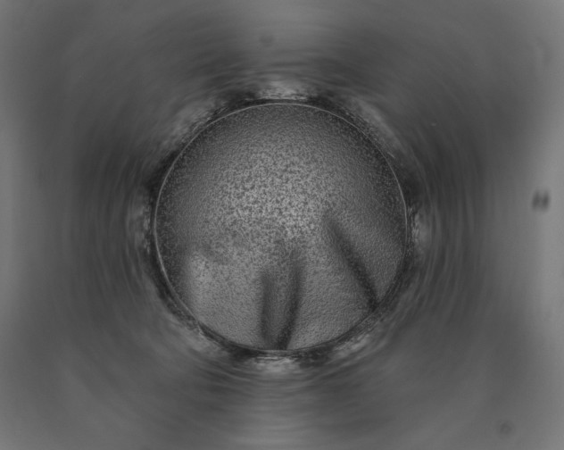 X0000090610322200707311227